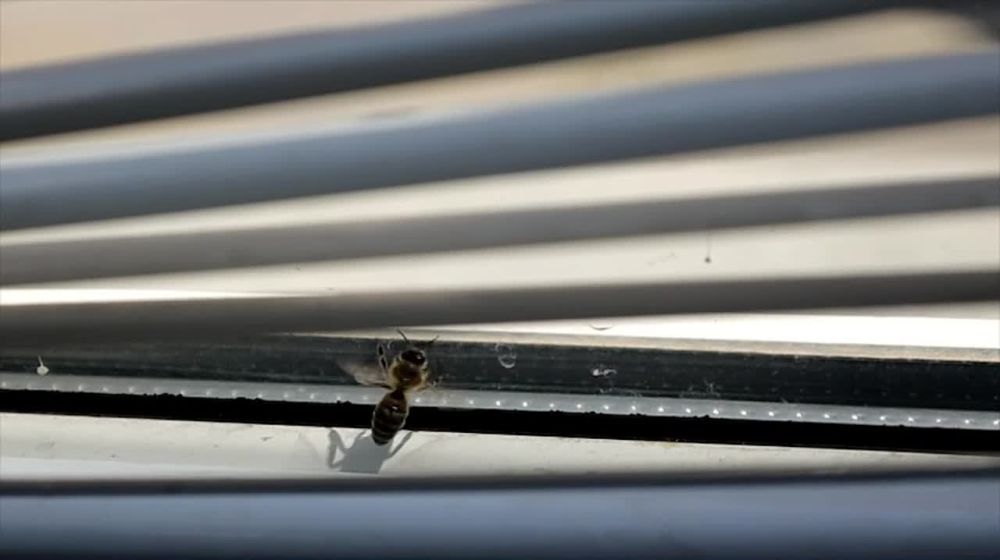 ����� �� �������� ������ � ������� ����� �������� ������� ����