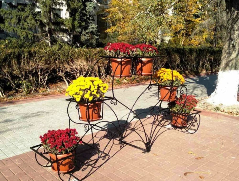 � ������ ��, ��� ��������� ����� ����� ������? ��� ������ ����� ��������� ������ ��������