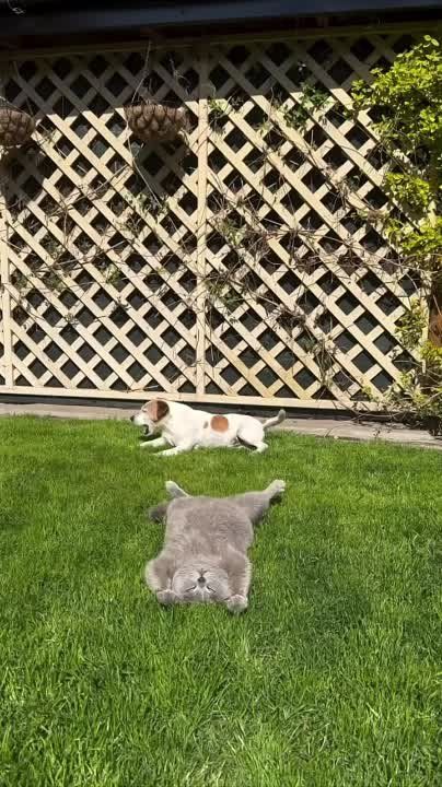 � ��� ������ ����. � ������ ��� �� �����. ������ ��� ������������. ������ ���������� �� ���� ��������, � ����� ����� ����� ����, �� +29. ����� �� ����� � ��������� ������. ������� �������� ������ �����. ��� ����� ����� ������, � � ��� ��� �� ������