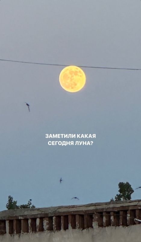 ������� ��� ���������� ����������