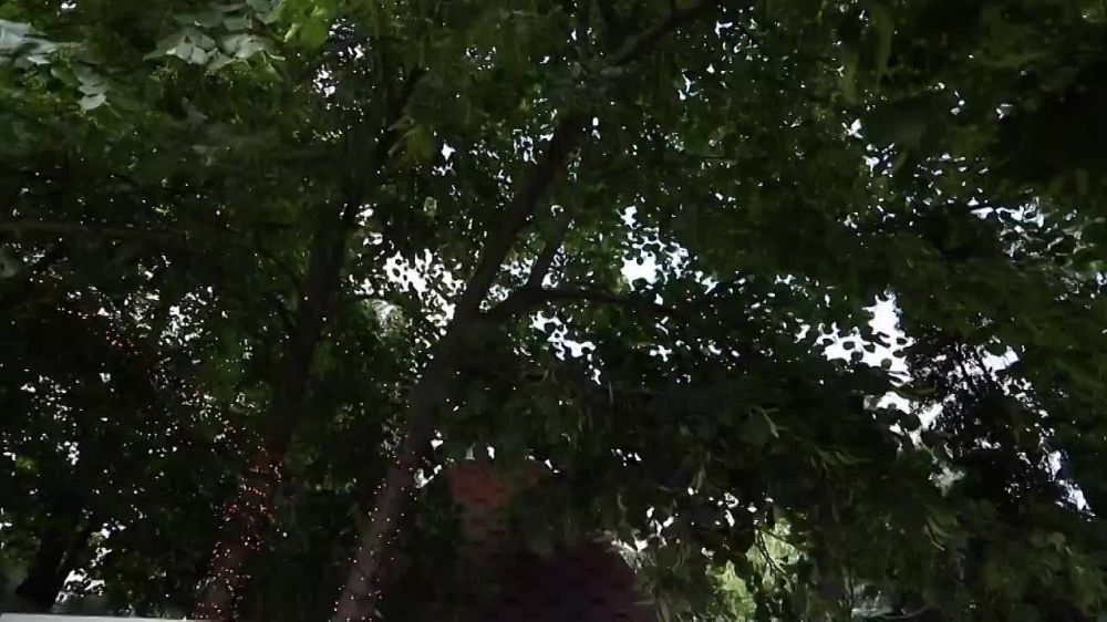 ���� �����������, ���� � ����� ���� ������