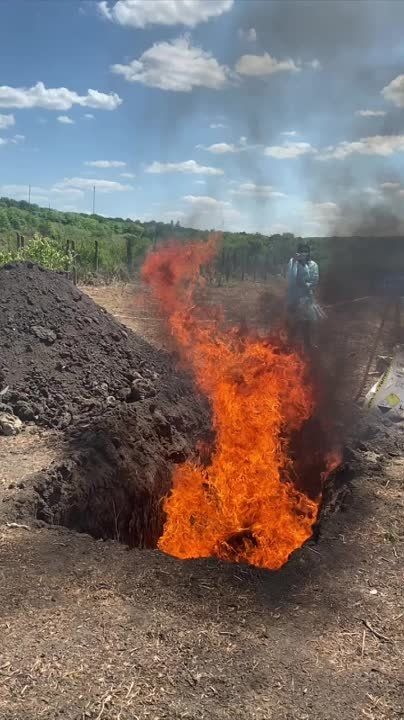 � ���� ������ ���������� ������ ������ ������� �����