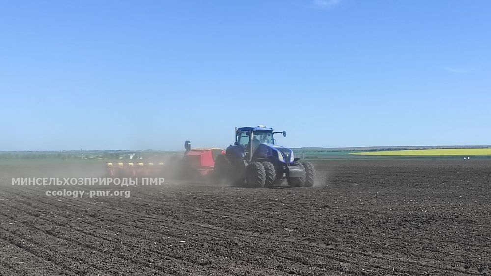 ����������� ��������. �� ������ ����������������� ��� �� 24 ��� 2024 �. �� �������������� � ���������� �������� �� 98 %