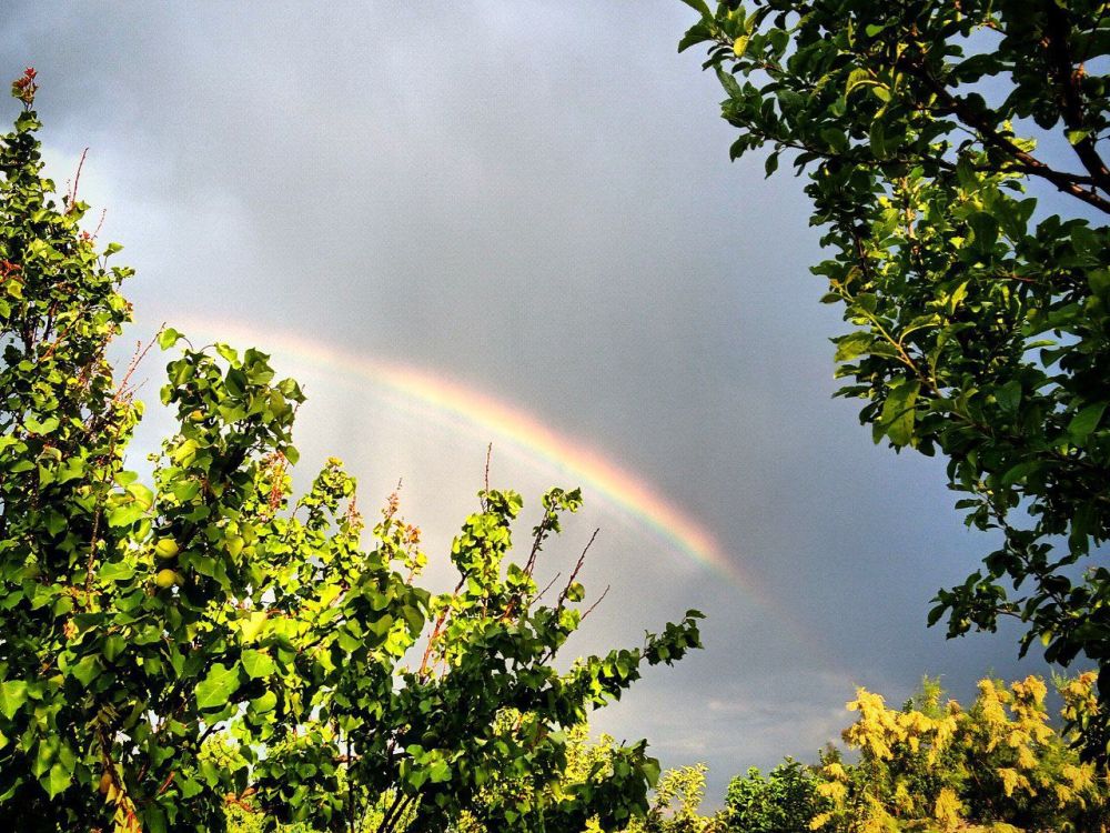 ����� � ������ � ����������� (���������������� �����)