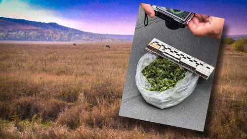 ������� ������ ������� � ������� � ������� ������ ������ ����� ������� �������������, �� ��� �������