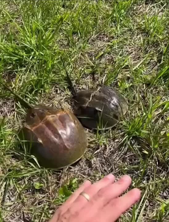 �� ����� ���������. ���� �� ����� �� �����, �� ��� ��������� ����� ������������ � ��� ����� � ���������