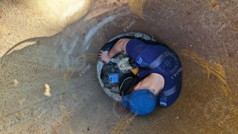 ��� ����� ����� �����, ���� ����� ���������