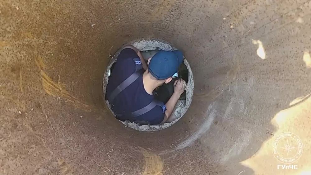 ��� �� �����, ��� ������� � ����������!�