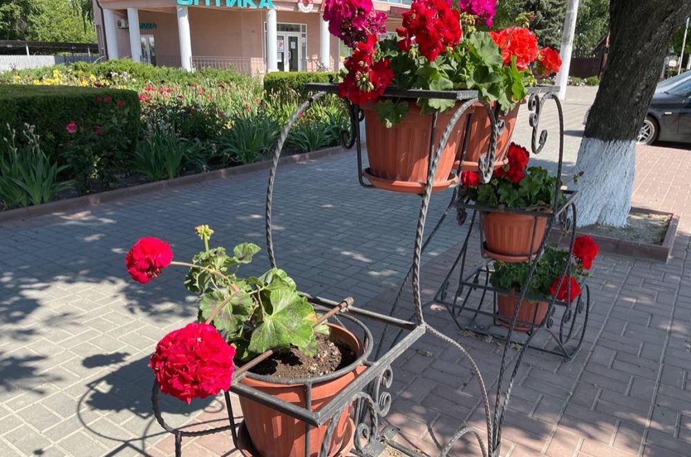 � ���������� �������� ������ � ���� � ������ ������