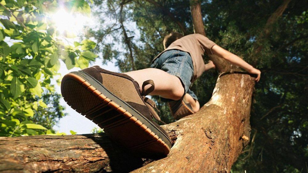 � �������, ���� �� �������� �� ������