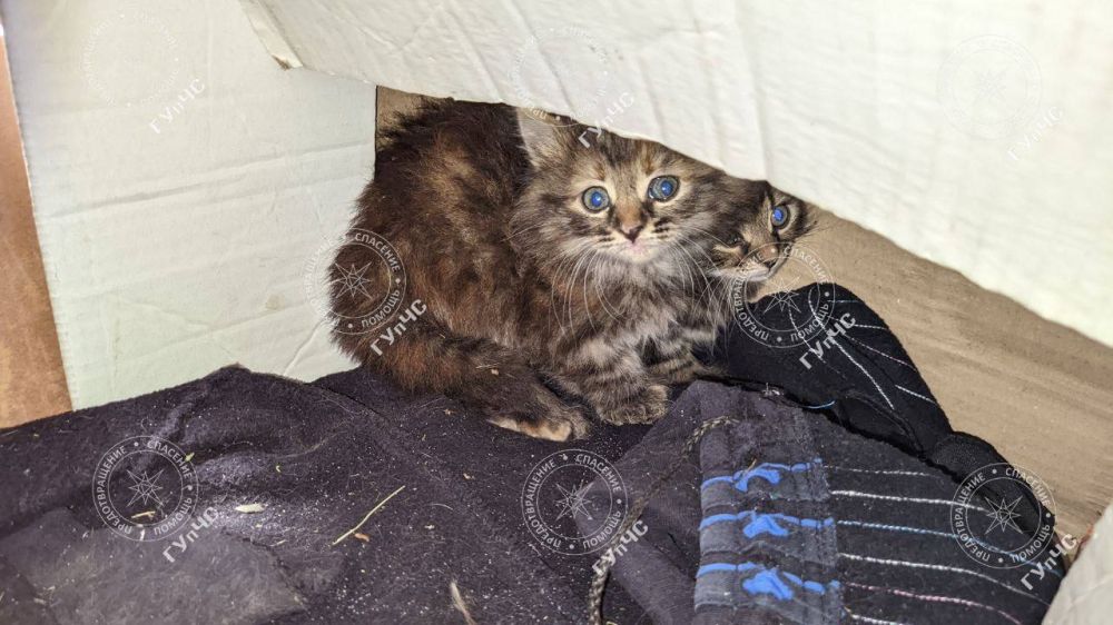 ��������� �������� ������ ���� �����