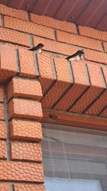 ���������. �������� ���������