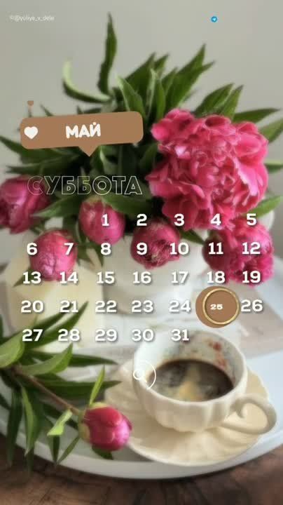 ������ ����