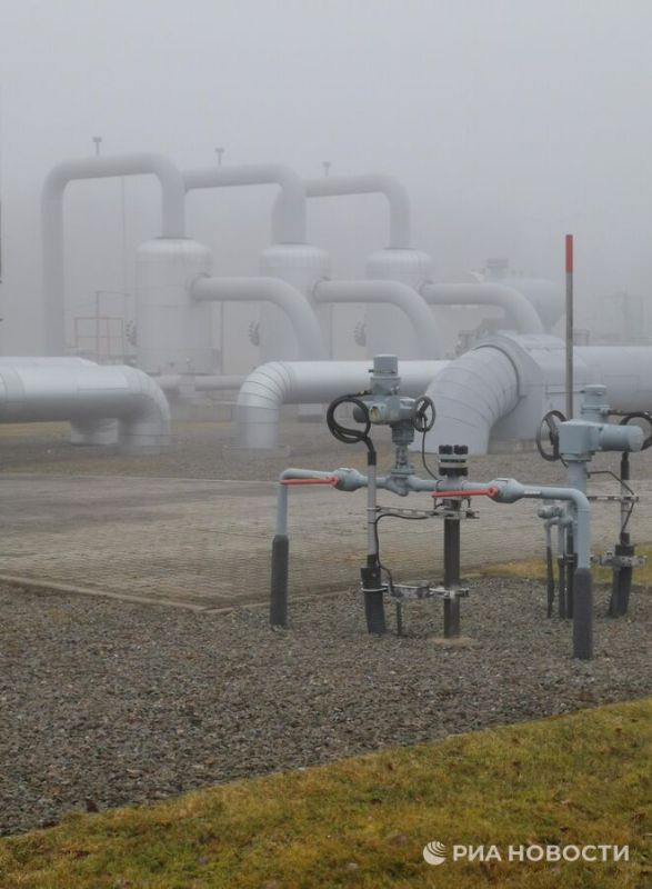 ������� ��������: �������� �� ����� �������������� ��������� ���� �� �� � ���