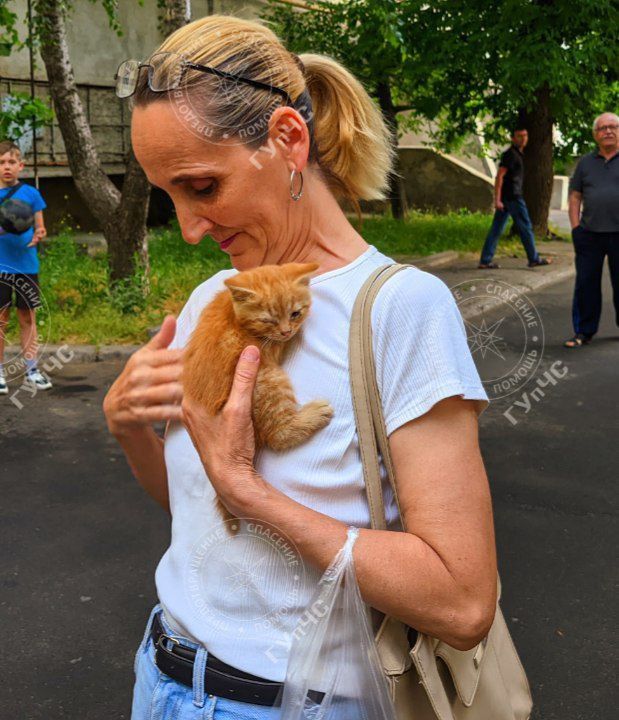 ���� �������, �� �� �����