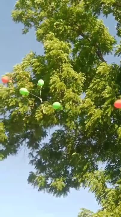 ����� ����������, ����� � ������ � ����