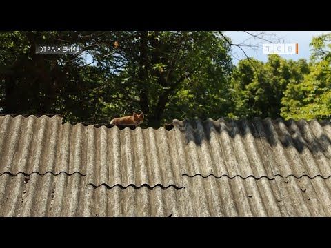 �� ��� �������������, � ������������� ������, ��������� ���