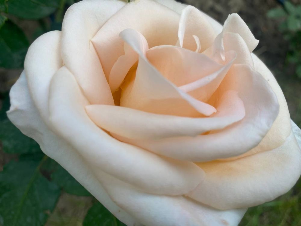 ��� �������� ��������� ����� �� ����� �� � ��, 28 ��� ��������� �������� � ������������ ������, ������� ��������������� �����