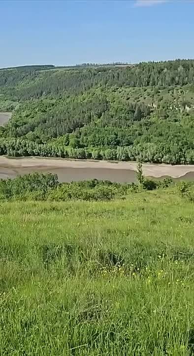 � ��� ������ ������� - ����� �����