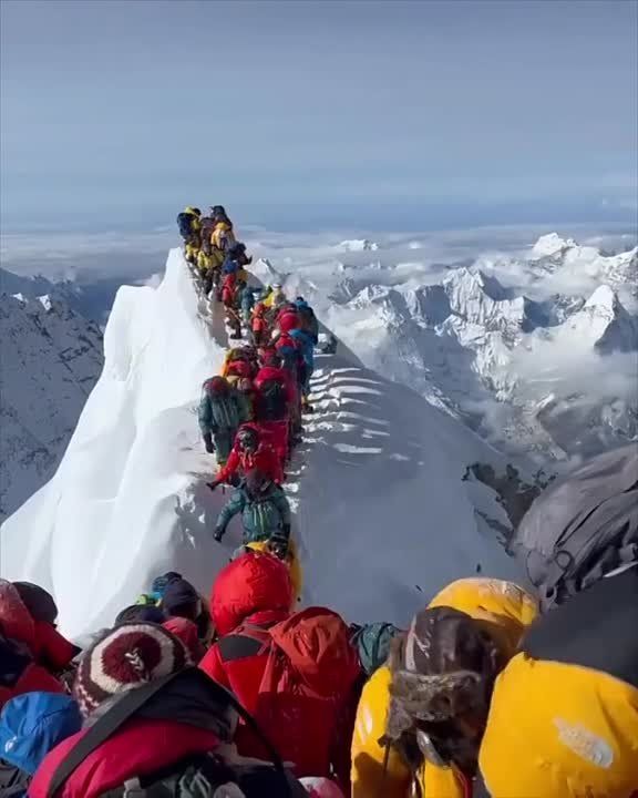 ����������� ������ �� ��������