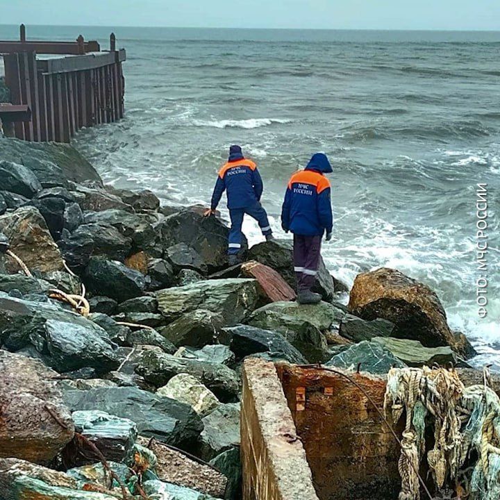 ��������� ���� ����� ������ � ���� �� ��������