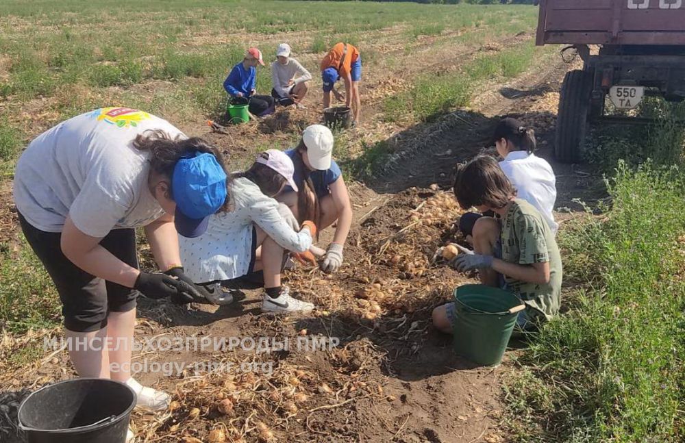 ��������������� ��� ��������� ��������� ������������ ����������