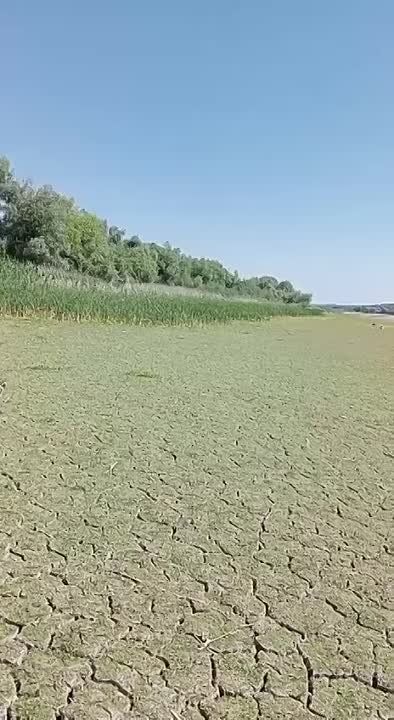 �� ������������ ��� ���� ���������� ��������� ������������� ��������� ����� ����, � ������ �������