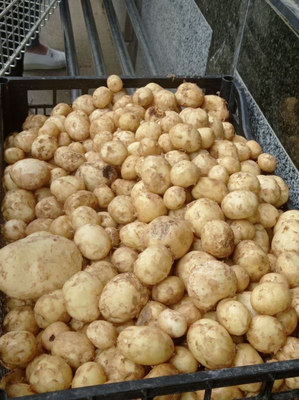 ������� �������� � 12 ������, ����� � 2-5 ������