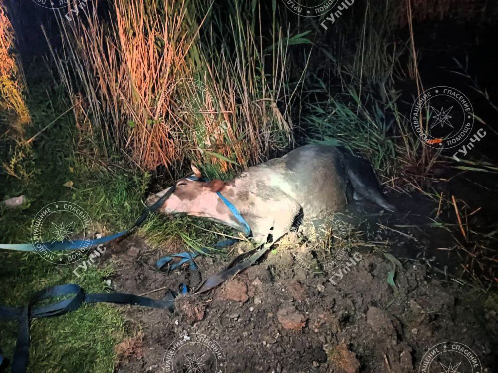 ��, ������� ��� ������ � �� ������ ���� ������ �������� ������!