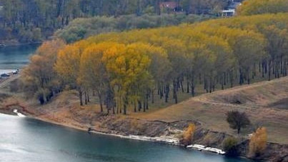 ������ �� ������� ������ ��-�� ��������� �������: ��� �� ���� ������� � �������������