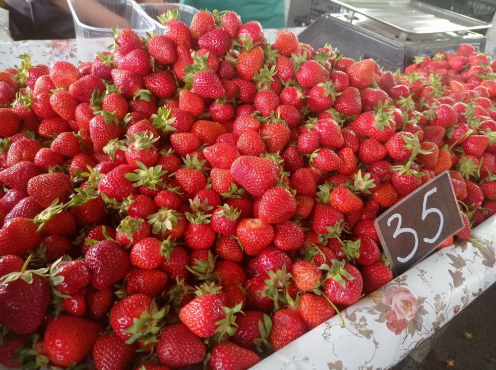 ������� ���� �� ����� � ���������: