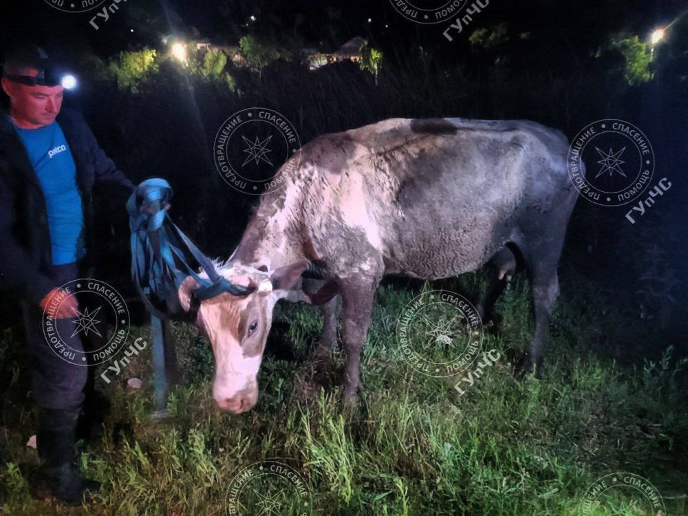 ������ ������. ��������� ������� �������� ��������� 28 ��� � �������. ������ ������� ���������� �� ����� ����� �������. �� ����� ���� �����, � ������ ����� ������ ����. ������� ���� � ����� � ����. �� ���������� �� ������ ������ � �����