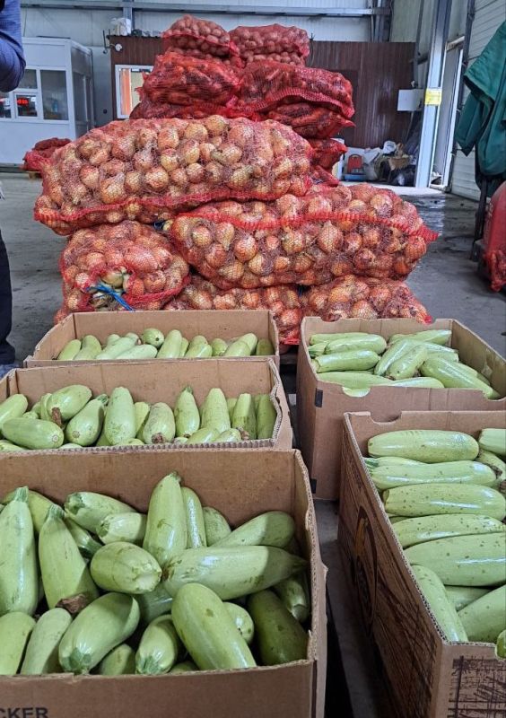 �������������� ������ ������� �������� � ���������� �������������������� ����� "����"