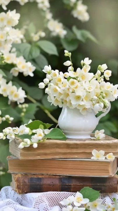 ������ ����