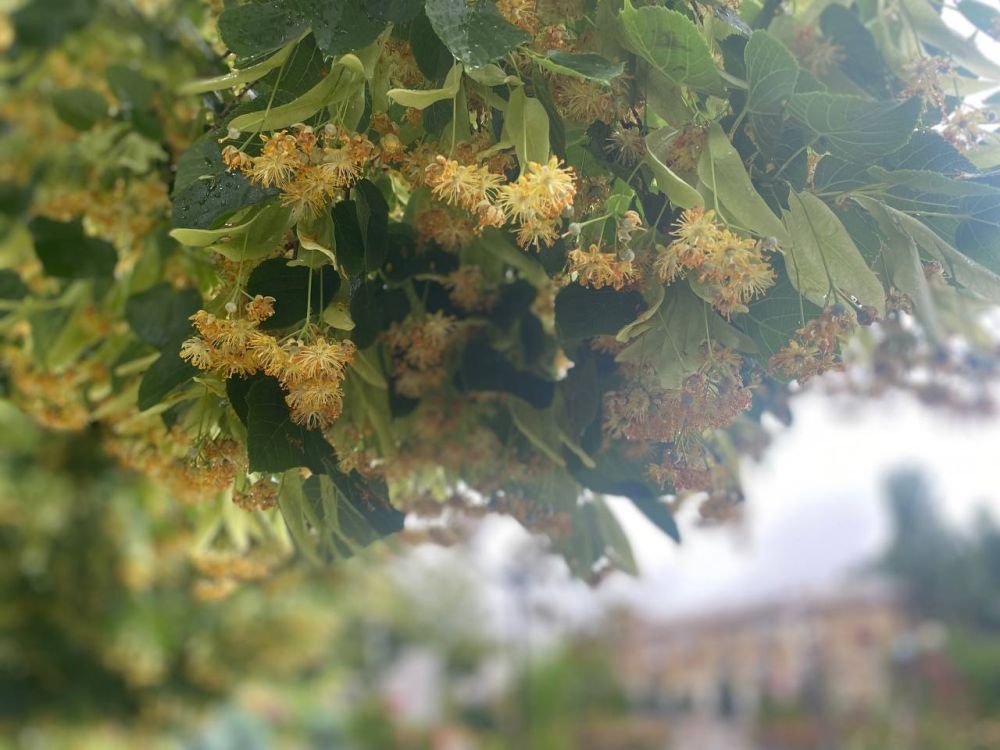 ������ ����! ������� �� +24 � �����, �� ��-�� ����� ����� - ��������� ��� �� �� ������