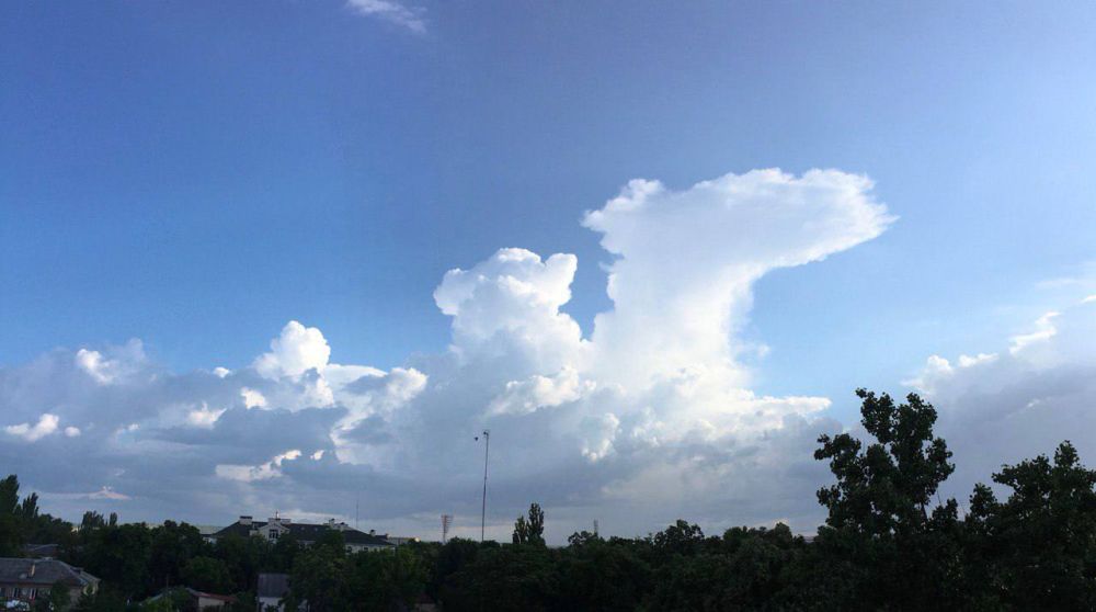 ������� ���� �������� ����������