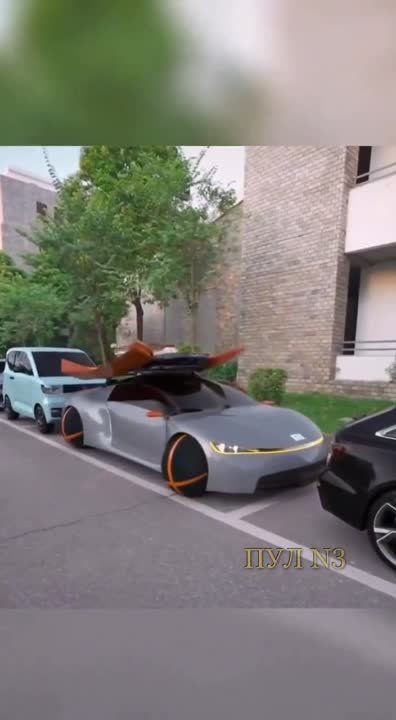 ��������� �������� ��� ���������� ���� �������������: ������ ������������� ���������� ��������� �������� � ��������� �� ������� �������