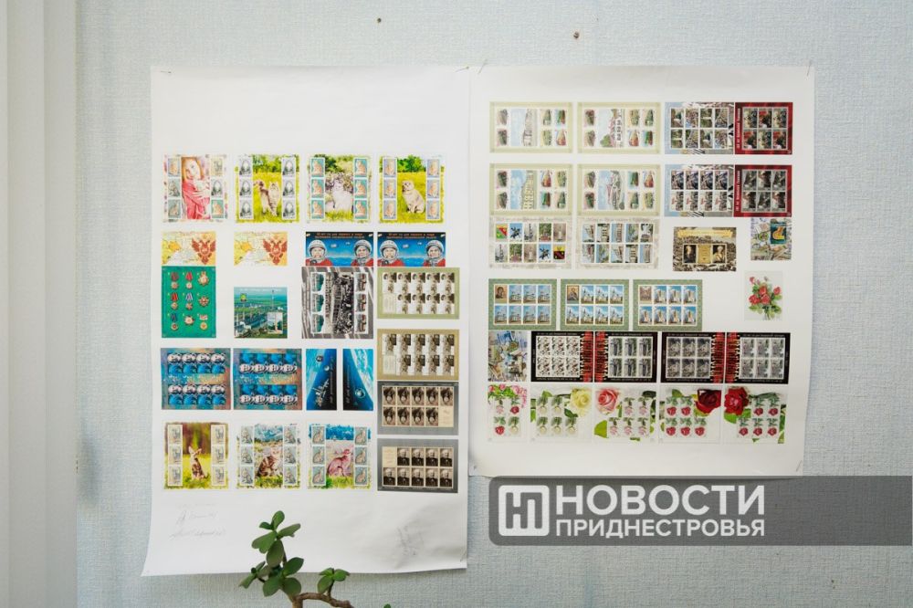 1300 �������� ������ ���� �������� � ������� �������� ������������ ������������������ ������������ � ������������� - 22 ���� �����