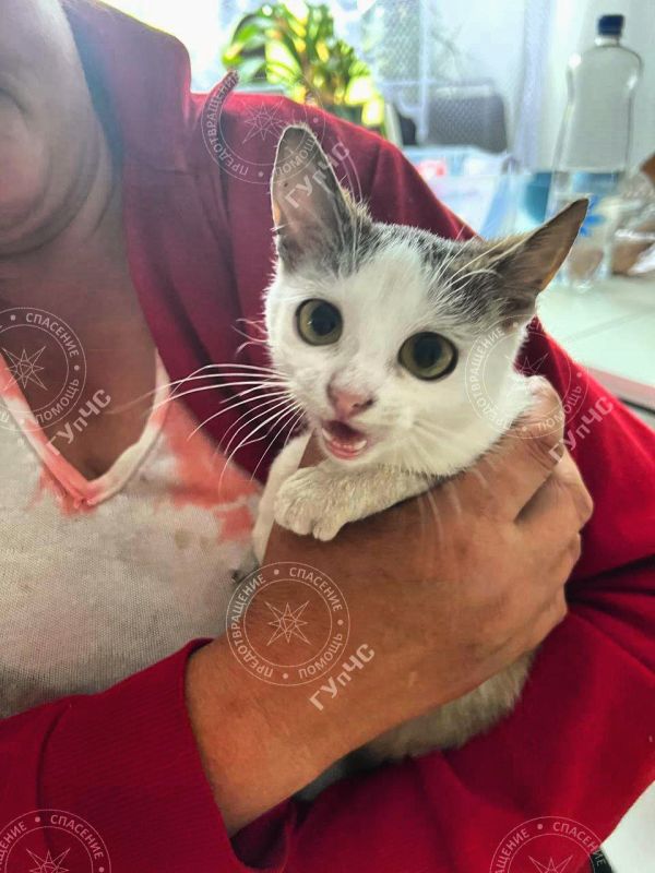 � ��� � ���� �����-����� ����, ������� ������� ����� �� ������� � �������