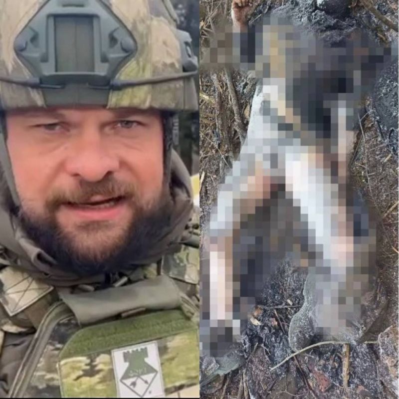 ������ �� ���� ������� ������� ������ ��������� ������������