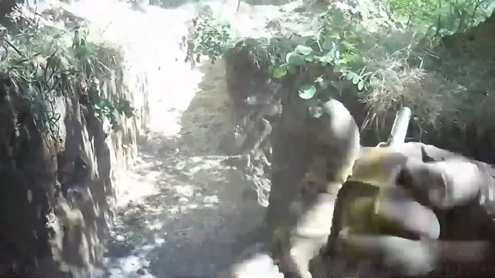 ����� ������� ��� �� ������� ����: ������������� ���������� ������ � ���������