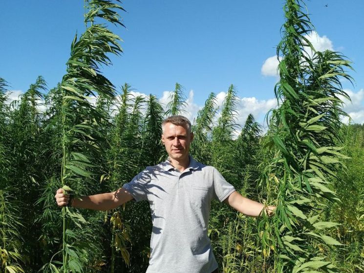 ������ ������� �������� ������������ ����������� ������� � 2024 ����