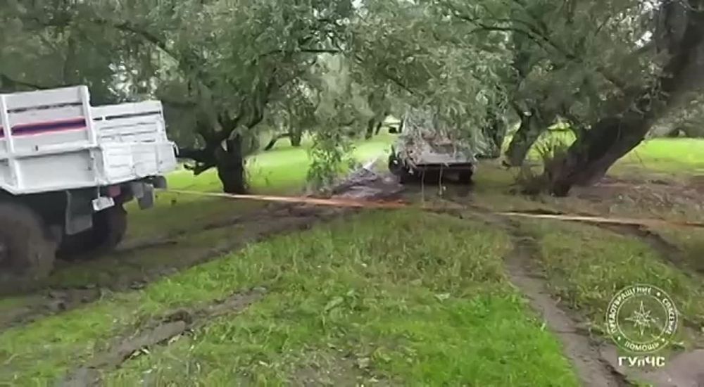 ����� ����� 29 ��� � ����� ������ ��� ����������