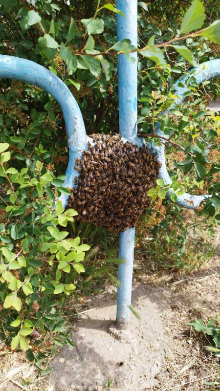 ��� ��������� ���� ���������� � ����������� �� ����� �����������