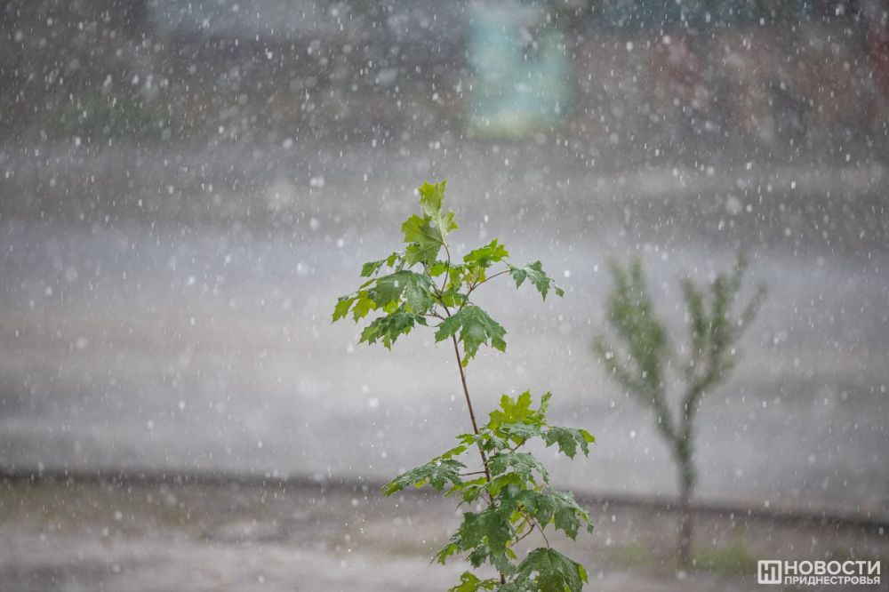 ������ ����� ������� ����� ������ � ���������� � �������� �������� �����