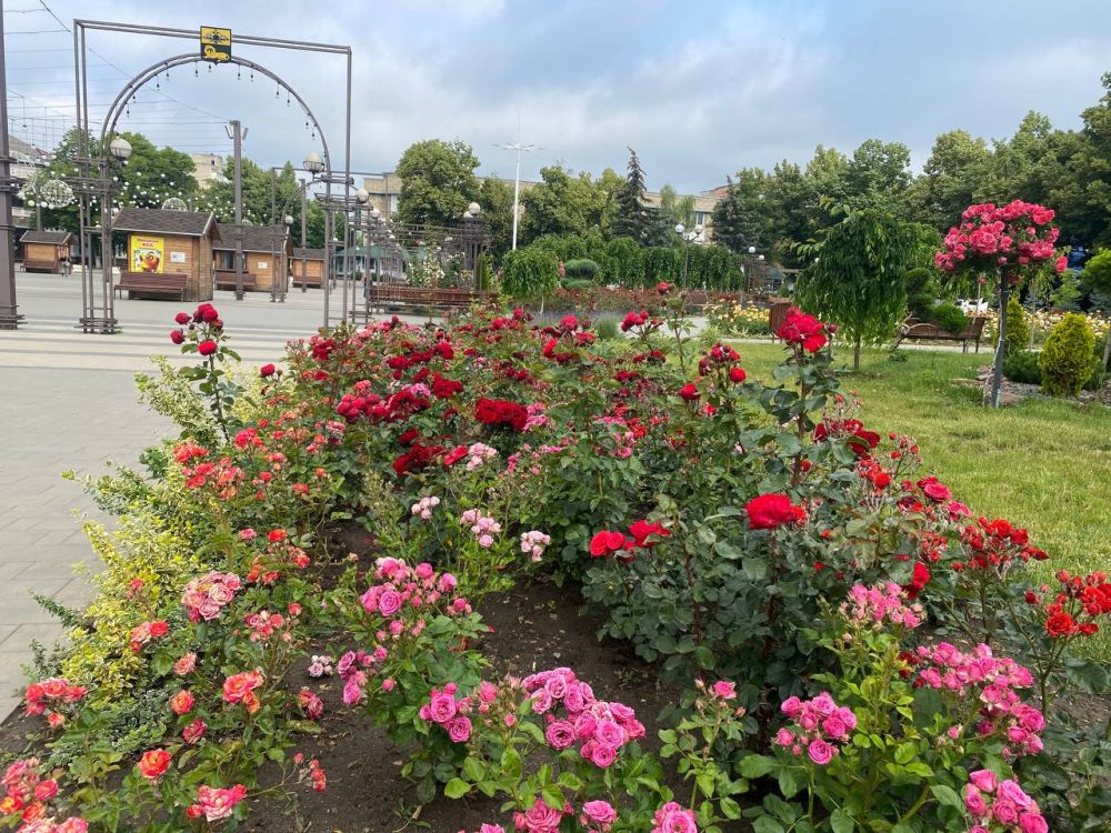 ������ ����! ��������� ���� ����� �� ���������