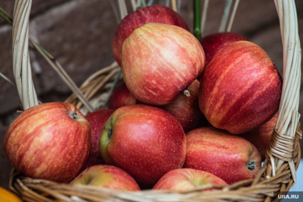 ��������� ����������, ������ ����� ��������� ������ ���� �����