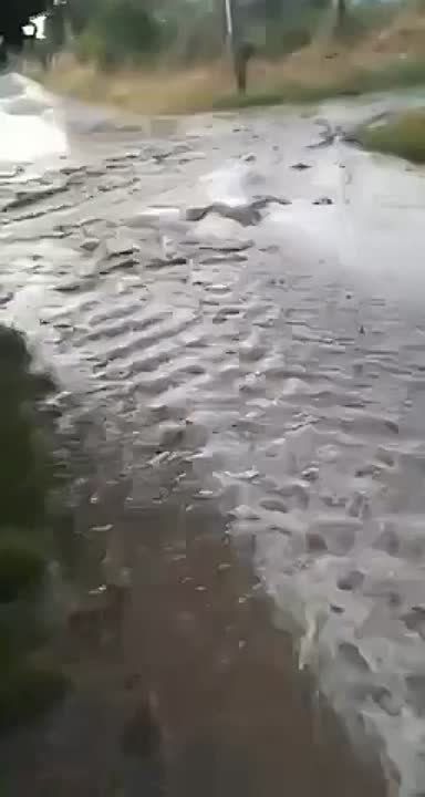 ��� ��� ��������� ������� ���� ���� �� ����� �����