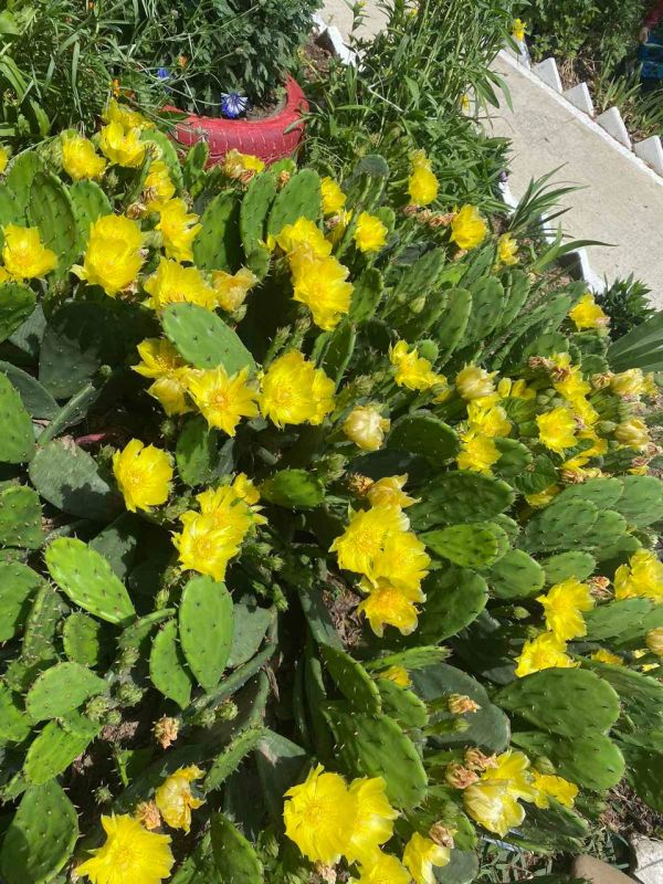 ��� ����� ���������-������ ������ �� ����� ���������� � ��������