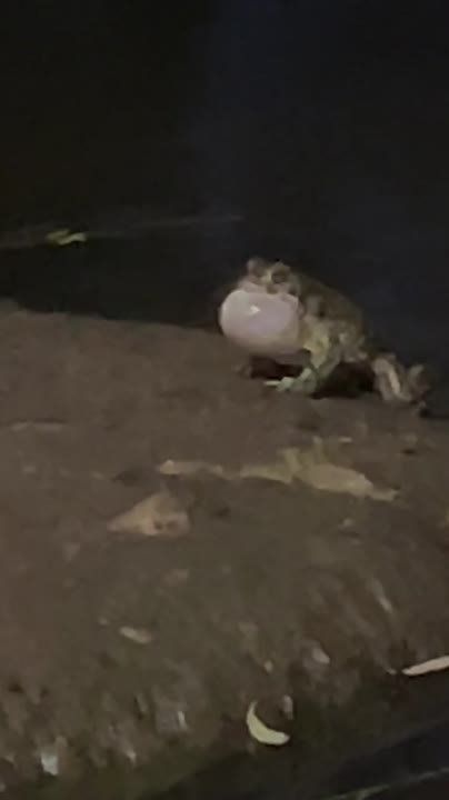 �� ����� � �������������� ����� ���� ���� �������